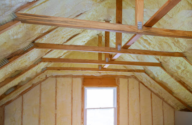 Best Insulation Inspection Services  in Lowell, MA
